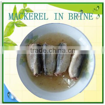 jack mackerel in brine