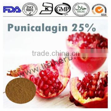 Pomegranate Extract Punicalagin 25%