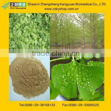 Natural Ginkgo leaf extract powder 24/6, CAS NO.: 90045-36-6