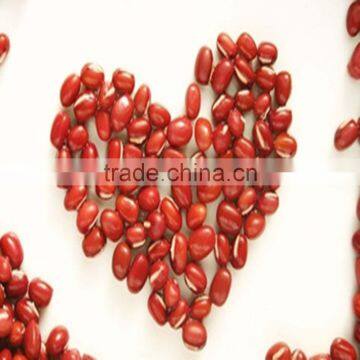 JSX Heilongjiang red bean 2016 new crop best sell red mung bean