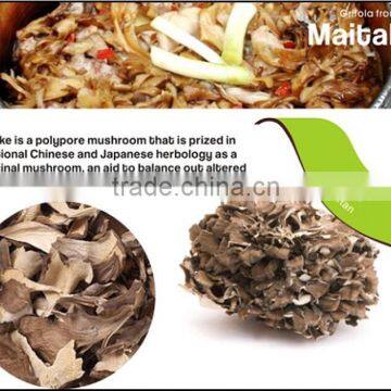 Best Selling Organic Dried Maitake Mushroom photo-4