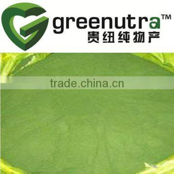 Chlorella Powder