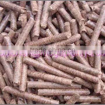 China Factory Price 6mm Wood Pellet Mill Machine for Sale photo-4