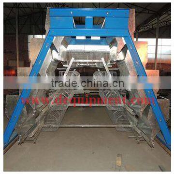 A type fully automatic chicken cage feeding system for Uganda Kenya Nigeria market