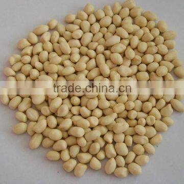 High Efficiency !!! Peanut Skin Peeling Machine/Peanut Skin Sheller Machine/Peanut Red Skin Removing Machine With Factory Price photo-4