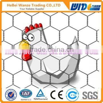 High quality chicken coop galvanized wire mesh chicken coop galvanized wire mesh(CHINA SUPPLIER)