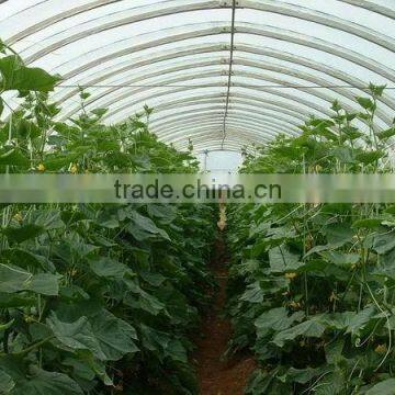 100mm Pvc Plastic Film Covered Tunnel Greenhouse For Private Agicultural Planting photo-3