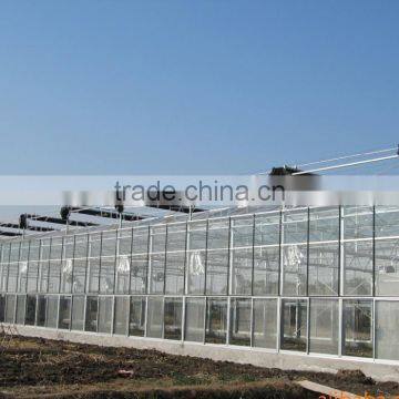 Arc Multi-span Glass Greenhouse for Strawberry photo-4