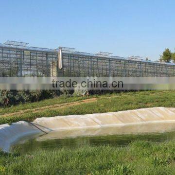 Manufacturer Supply Larger Multi-span Glass Greenhouse photo-3