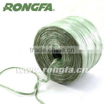 High Quality Green Biodegradable Plastic Raffia String photo-3