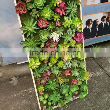 Indoor Decoration Artificial Mini Succulent Plants Wall photo-4