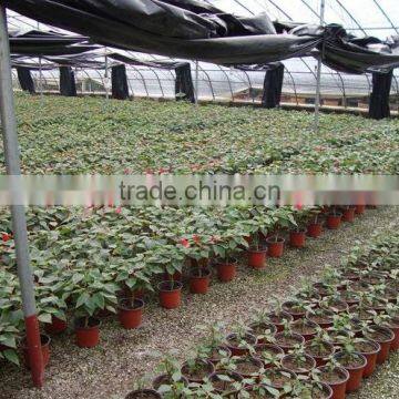 Simple Soft Wholesale Plastic Garden Flower Pot photo-3