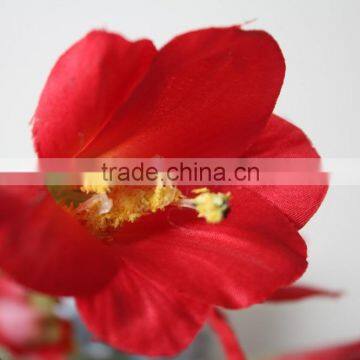 Natural Clivia Fabric Clivia Decorative Clivia Artificial Clivia Flower for Wholesale photo-2