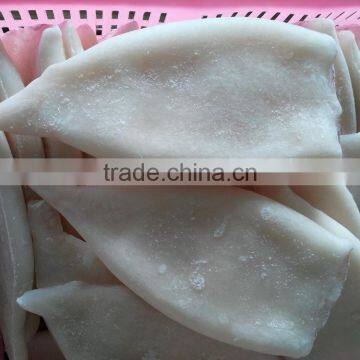 Frozen fresh new produced U5 squid tube