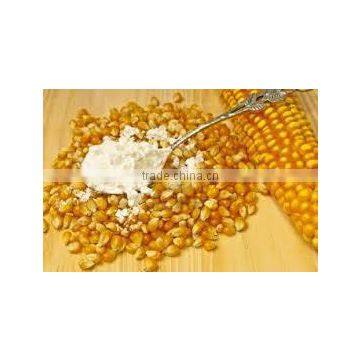 Corn Flour Supplier photo-5