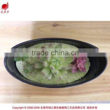 Artificial Mini Plant Potted Succulent Combination Mini Succulent photo-5