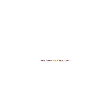 Jinan  Chenyang Technology Co.,Ltd