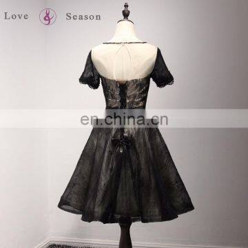 A17CL0027 Elegant Evening Gown for Weddings Lace See Through Simple Long Prom Dresses