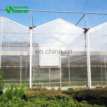 Multispan Tunnel Polycarbonate Panel Greenhouse for Agriculture photo-5