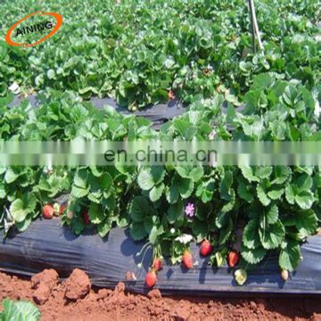 Agriculture Protection Solar Light Reflection Film White or Silver Black Layers Plastic Ground Cover Mulch Sheet