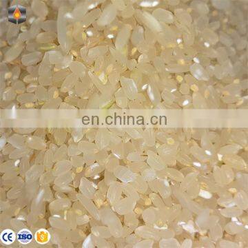 ISO Certified Rice Miller Machine Rice Processing Machine photo-7