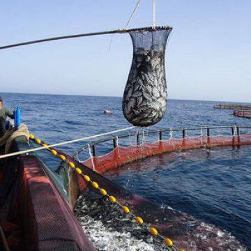 Anti Stormy Waves Round Fish Cage Farming