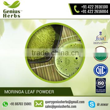 Best Quality Certified Organic Moringa Leaf Powder from Leading Supplier