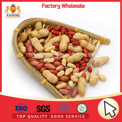 HIGH QUALITY PEANUT KERNELS BY JUNAN KAIBING photo-4