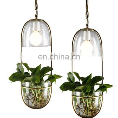 Modern creative glass plant hydroponics led pendant light for decorate