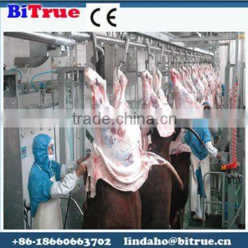 portable automatic beef slaughtering machine