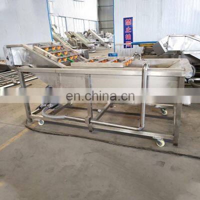 Vegetable washer machine fruit and vegetable bubble cleaning machine fruit washing drying machine