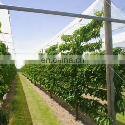 Anti UV Transparent PE Tarpaulin for Cherry Tree Protection Cover photo-4