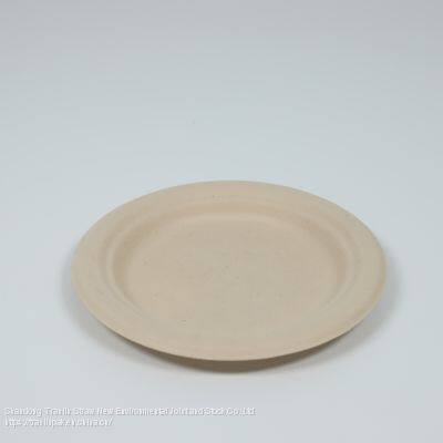 Disposable Biodegradable Plate photo-2