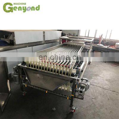 Custom Fresh Medjool Dates Sorting Machine for Vegetable and Fruit Sorter photo-4