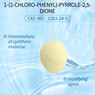 1-(2-CHLORO-PHENYL)-PYRROLE-2,5-DIONE CAS NO:1203-24-3 photo-2