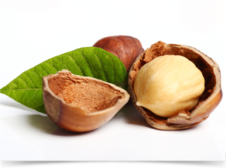 China Factory Direct Sale Encrusting Machine With Solid Filling Feeder photo-4