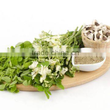 Healthy Moringa Seed powder Bulk Producers