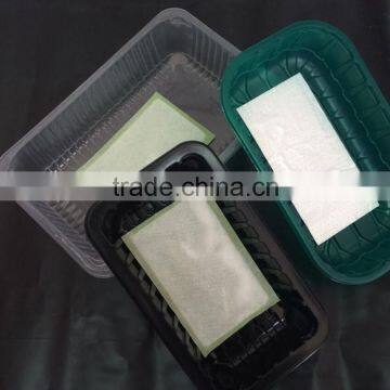 China Manufacturer Plastic Vacuum Forming Fresh Meat Fruit Disposable Plastic Food Container photo-3
