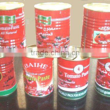 400g or 425g canned tomato paste ketchup