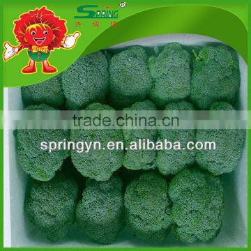 broccoli price/frozen broccoli/fresh broccoli from China broccoli puree