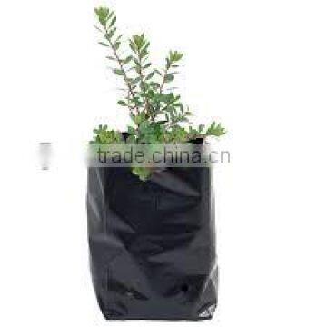 White and black seeding bags for indoor use