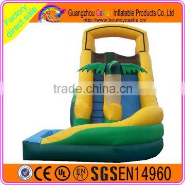 2016 Pop-selling Custom Made Inflatable Plastic Water Slide photo-2