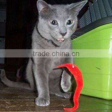 Hot sell Magic worm cat toy