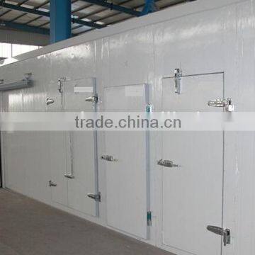 cooling room Cold Storage room for fruits and vegetables with CA and steel construction