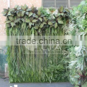 Indoor Artificial Grass Wall , Outdoor Vertical Garden Green Wall Systems photo-3
