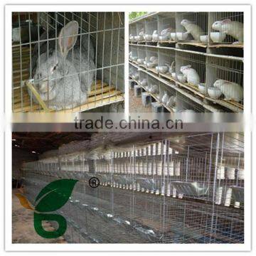 Galvanized steel wire mesh rabbit cages