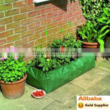 vegetable planter