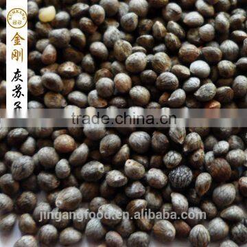 Perilla Seed for Sale photo-2