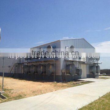 High Quality Poultry Feeding System Metal Chicken House/shed
