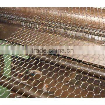 Hexagonal Wire netting (FACTORY PRICE)